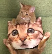 あいきち