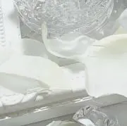 まの画像