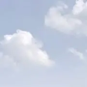 さかたんの画像