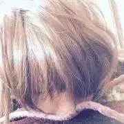 からすの画像