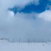 2000の画像