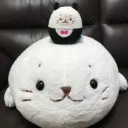 もっぴの画像