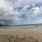 ポチ