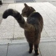 りんご