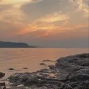 わっさーめーん