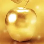 しましまの画像