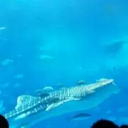 ♢miri♢プロフ確認お願い致します⚠