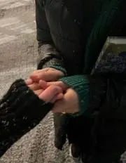ふとまゆの画像