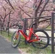 ちゃさん専用品。クランク無し リドレー ヘリウムSLX デュラエース