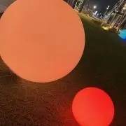 シキの画像
