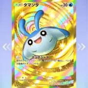 フカマルの画像