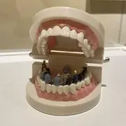 こばこばの画像