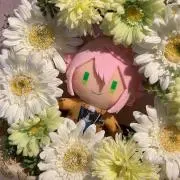 ショコラ。の画像