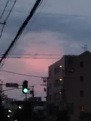 レイラの画像