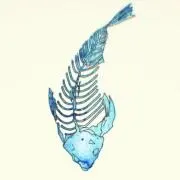 Serenoの画像