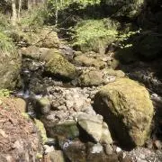 ふみかの画像