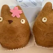 ヴィヴィの画像