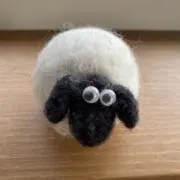 あおいだるまの画像