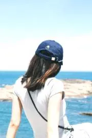 敦琉大陸の画像
