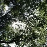 AJIHOの画像
