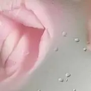 ♡の画像