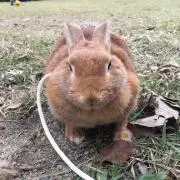 jimjim0913の画像