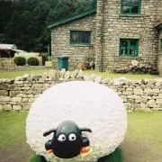 aaaの画像