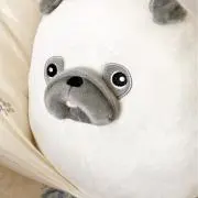 cocco:)の画像