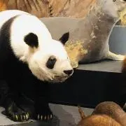 Image of みっしぇる
