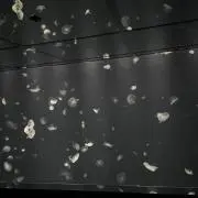 sintako
