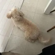 たの画像