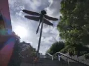 ymkwの画像