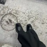 ぴの画像