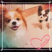 kuu♡