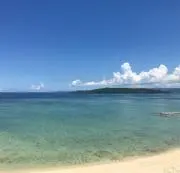 やんばるの画像