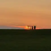 SK