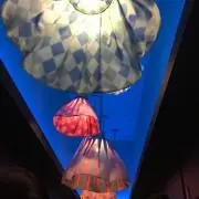 たんぽぽ