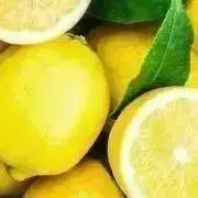 Lemonの画像