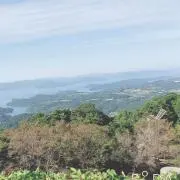 あじさいの画像