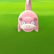 やーどん