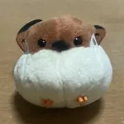 たまちゅん