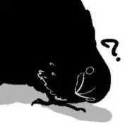 カラス☆ 烏羽の画像