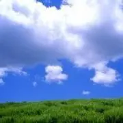 おりーぶの画像