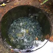 KYOPの画像