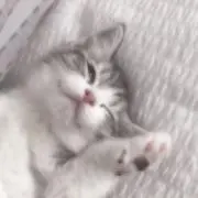 mの画像