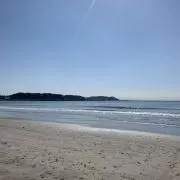 ACEROLAの画像