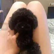 ゆみたんだっちゃ
