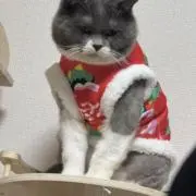 隣の雑貨屋の画像