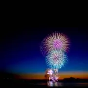 ハルの画像