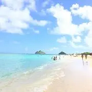 エムボマの画像